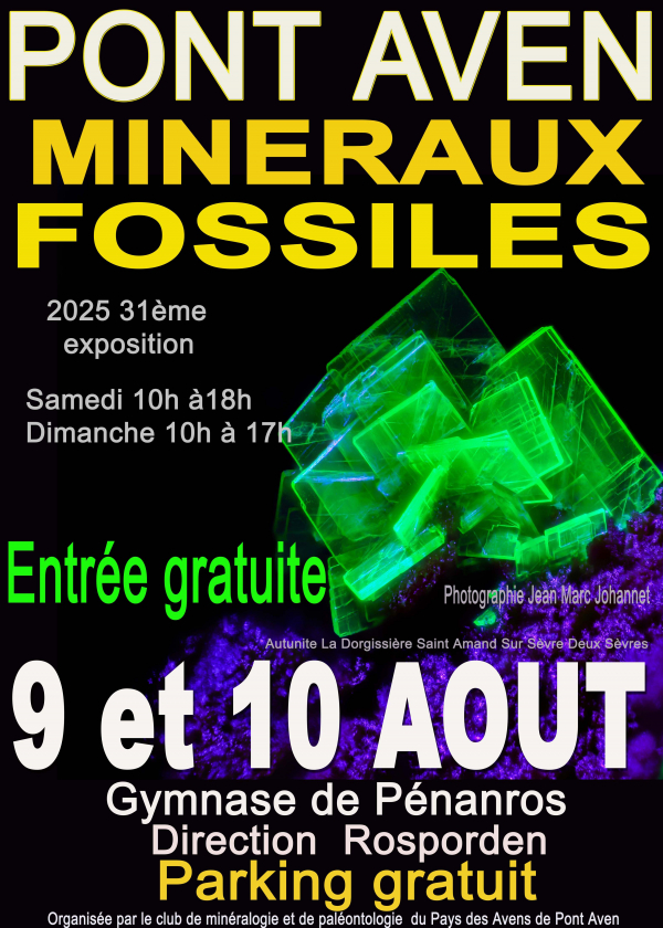 Exposição, venda e troca de minerais e fósseis Exposição, venda e troca de minerais e fósseis