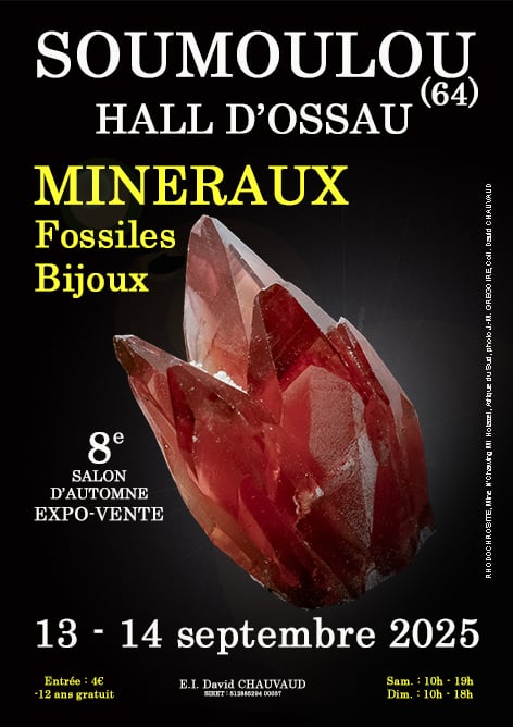 8ª Feira de Minerais, Fósseis e Joias de Outono