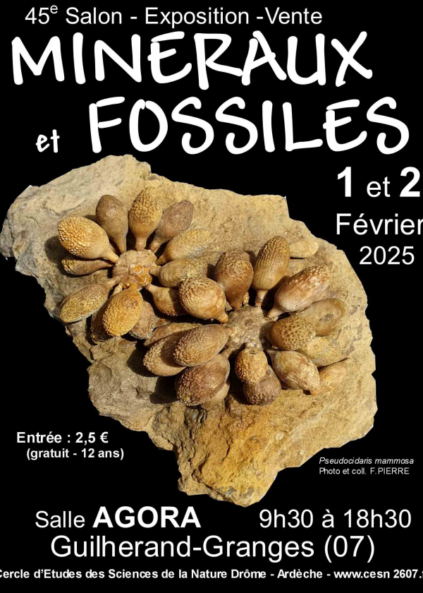 46ª Bolsa de Minerais e Fósseis Guilherand-Granges