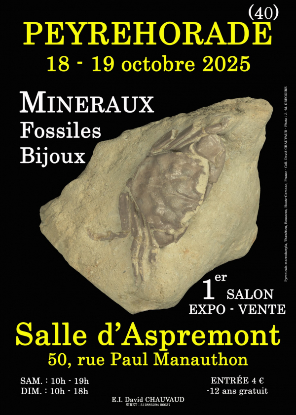 1ª FEIRA DE JOIAS, FÓSSEIS E MINERAIS 1ª FEIRA DE JOIAS, FÓSSEIS E MINERAIS