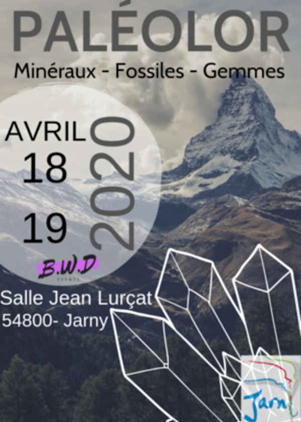 A 5ª edição da mostra Fósseis de Minerais e Jóias