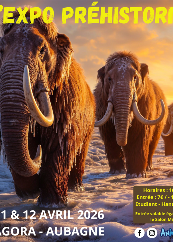 A Exposição Pré-histórica