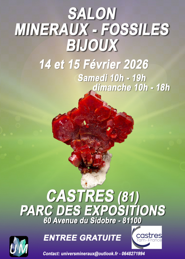 Exposição de minerais, fósseis e joias de design.