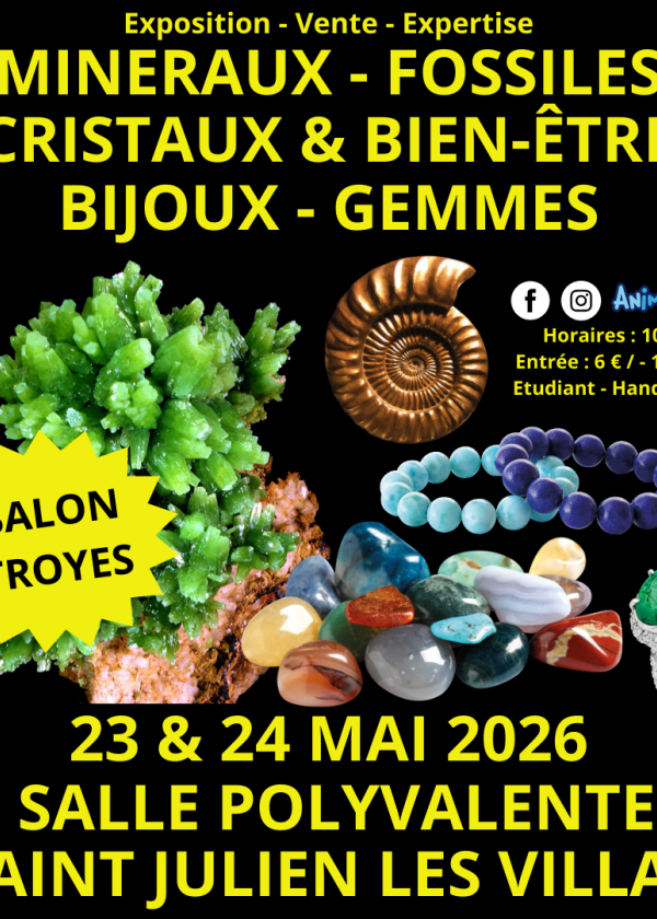 2ª Feira de Minerais e Fósseis de Troyes