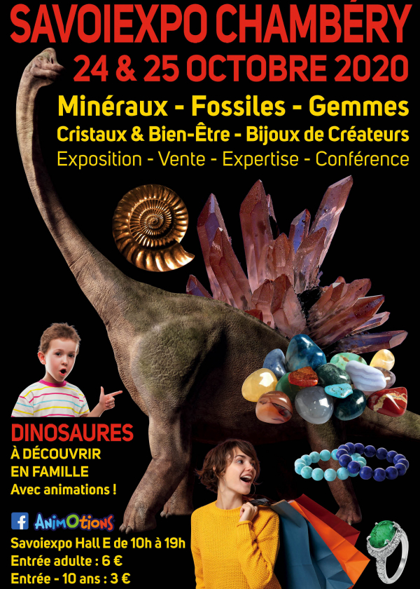 Minéralexpo Chambéry Minerals Fossils Gems