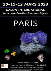 Feira de Minerais, Fósseis e Gemas, Paris Institut du Judo