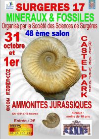 48ª Exposição Internacional de Minerais e Fósseis