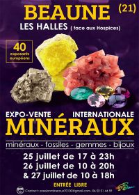 Feira de minerais e fósseis