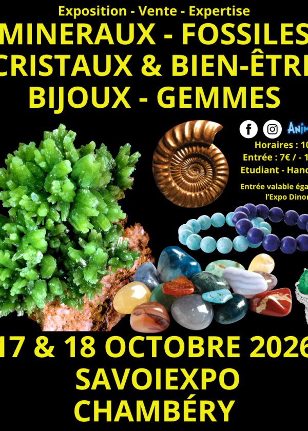 7ª Feira de Minerais, Fósseis e Cristais