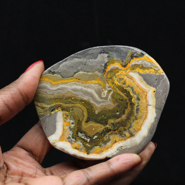 Ornamento de abelha em jaspe polido, Indonésia, raro.