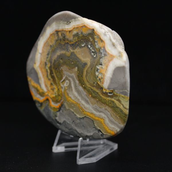 Ornamento de abelha em jaspe polido, Indonésia, raro.