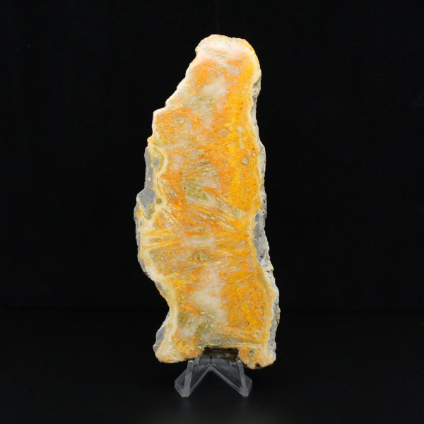 Placa de Jaspe Abelha da Indonésia