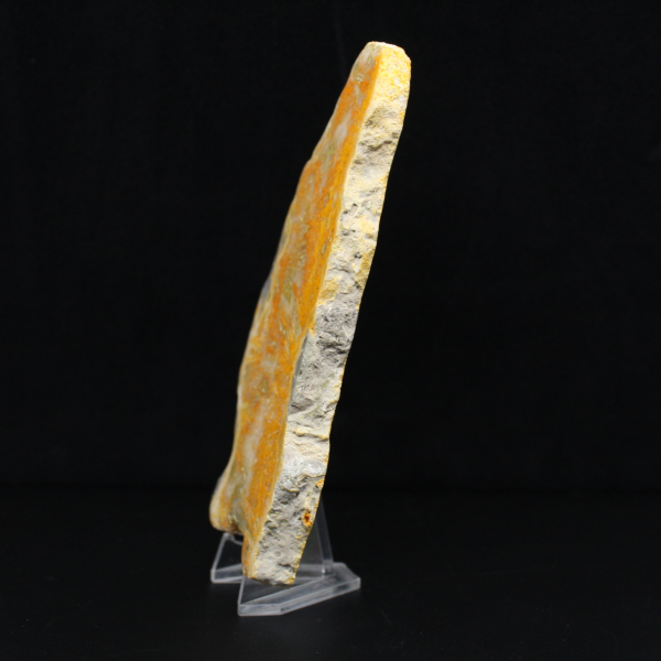 Placa de Jaspe Abelha da Indonésia