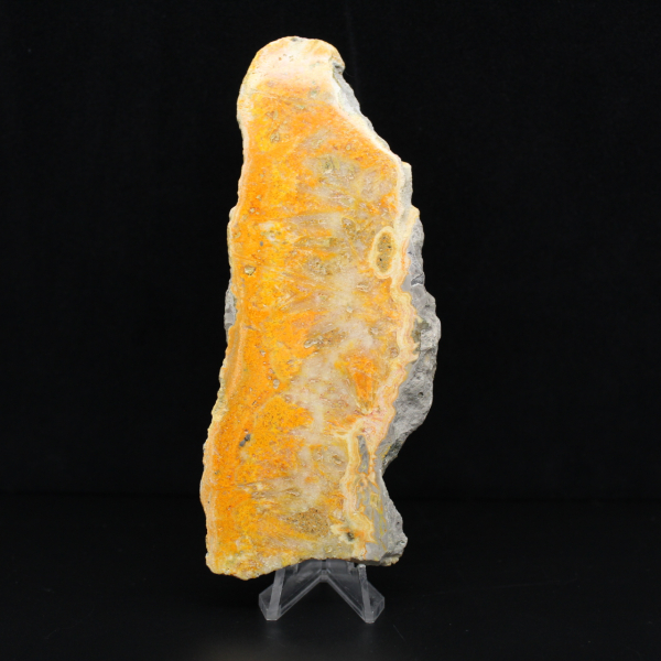 Placa de Jaspe Abelha da Indonésia