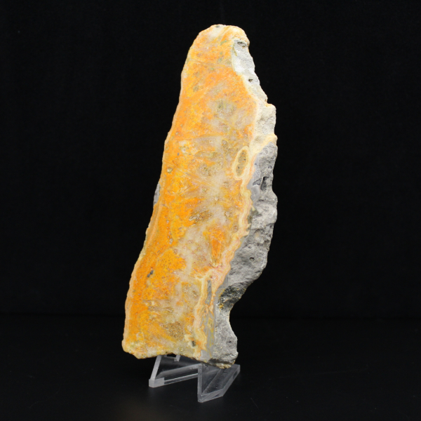 Placa de Jaspe Abelha da Indonésia