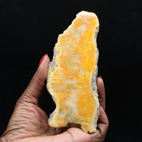 Placa de Jaspe Abelha da Indonésia