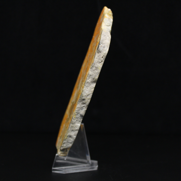 Espécime polido de jaspe vulcânico Bumblebee