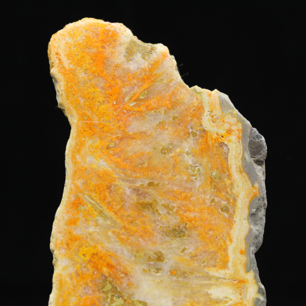 Espécime polido de jaspe vulcânico Bumblebee