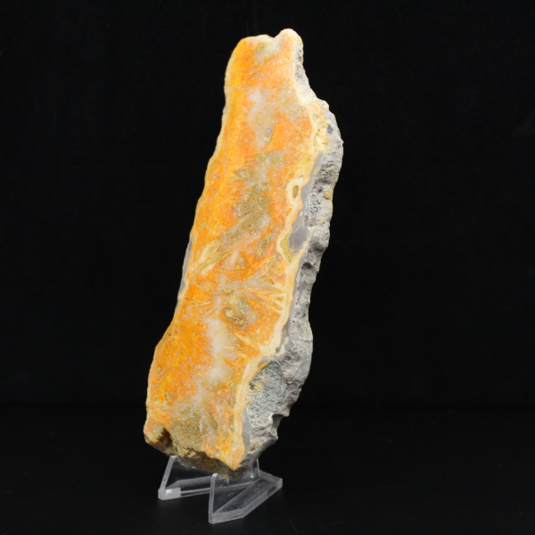 Fatia de Jaspe Abelha - Qualidade de Colecionador