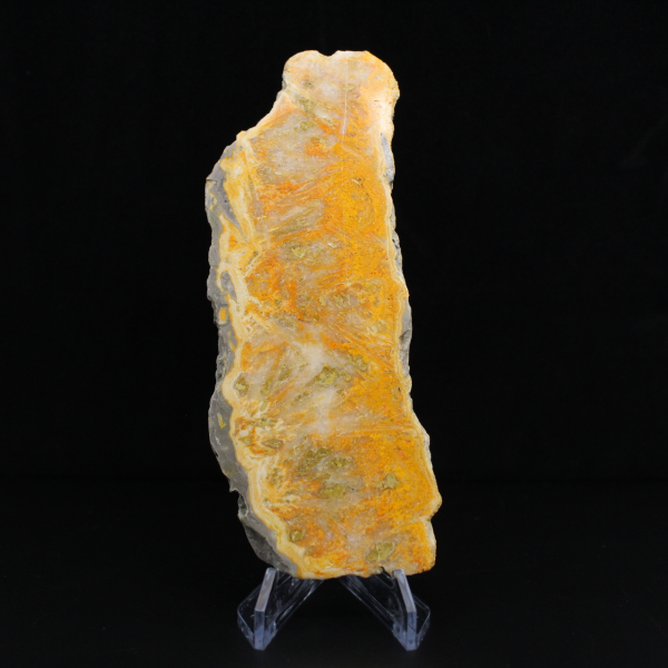 Fatia de Jaspe Abelha - Qualidade de Colecionador