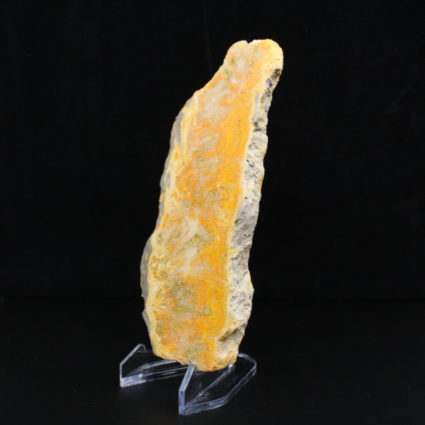 Fatia de Jaspe Abelha - Qualidade de Colecionador