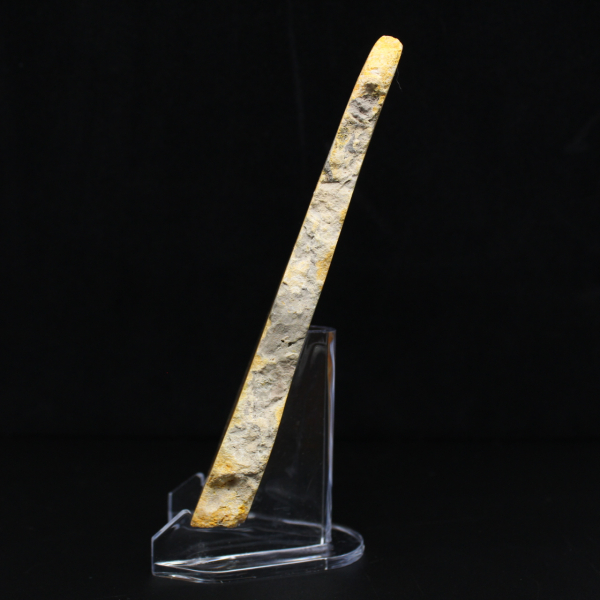 Fatia de Jaspe Abelha - Qualidade de Colecionador