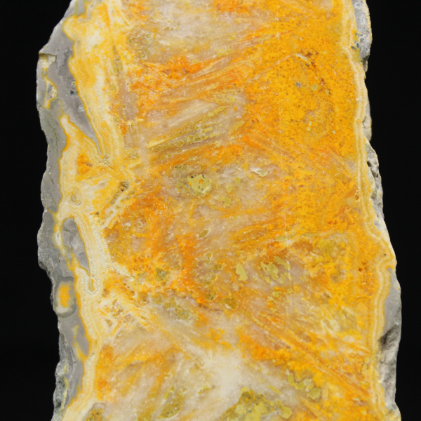 Fatia de Jaspe Abelha - Qualidade de Colecionador