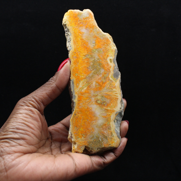 Fatia de Jaspe Abelha - Qualidade de Colecionador