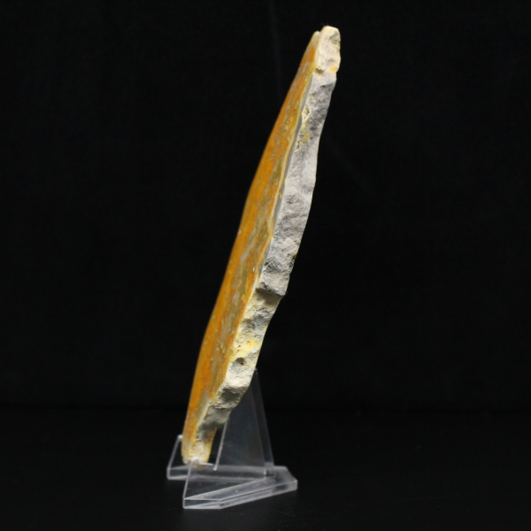 Jaspe Abelha Indonésio: uma peça de exibição