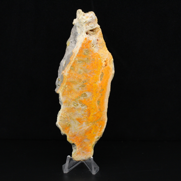 Jaspe Abelha Indonésio: uma peça de exibição