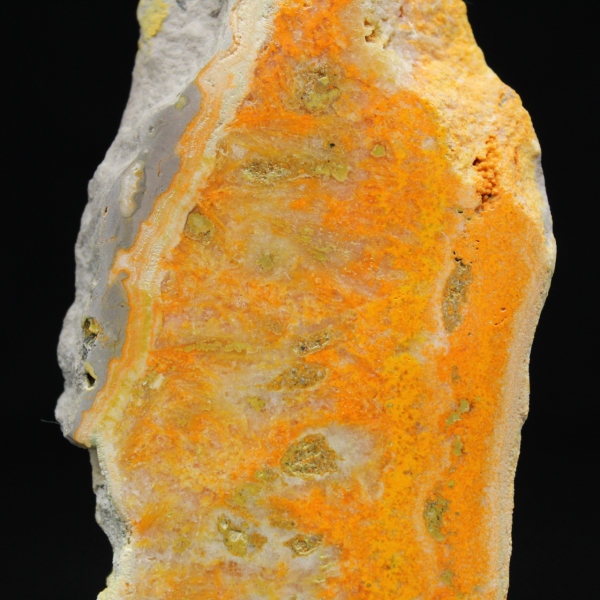 Jaspe Abelha Indonésio: uma peça de exibição