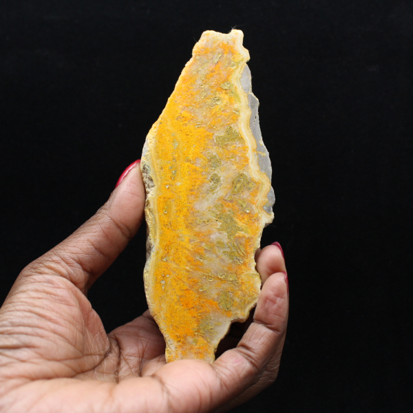 Jaspe Abelha Indonésio: uma peça de exibição