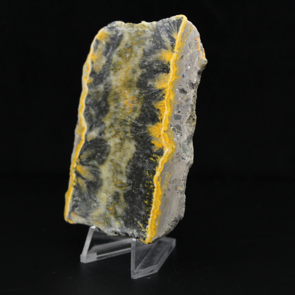 Pequeno espécime fatiado de abelha-bumbum Jasper