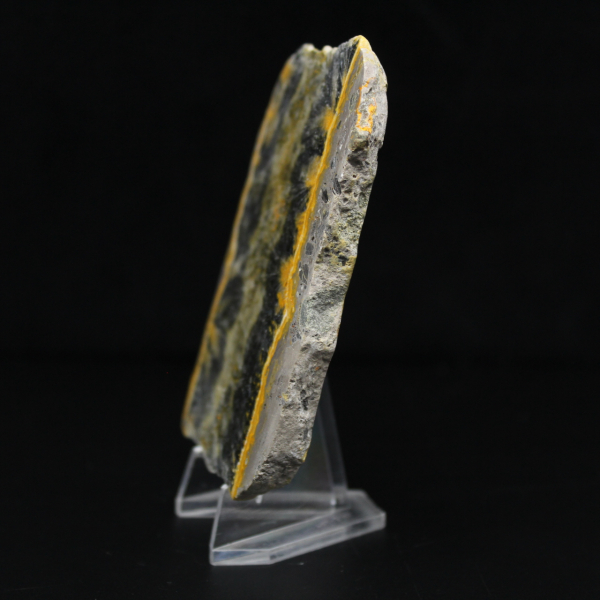 Pequeno espécime fatiado de abelha-bumbum Jasper