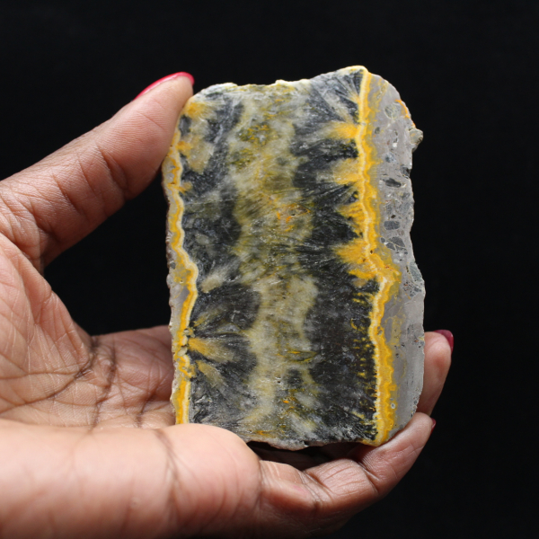 Pequeno espécime fatiado de abelha-bumbum Jasper