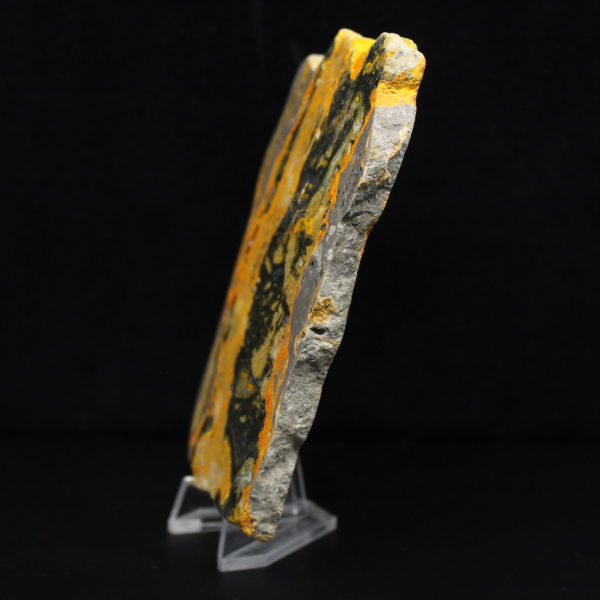 Jaspe Bumblebee indonésio: grande placa polida