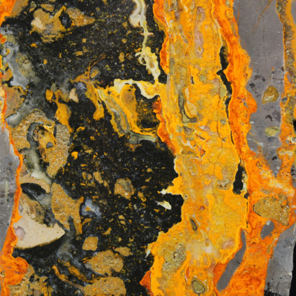 Jaspe Bumblebee indonésio: grande placa polida