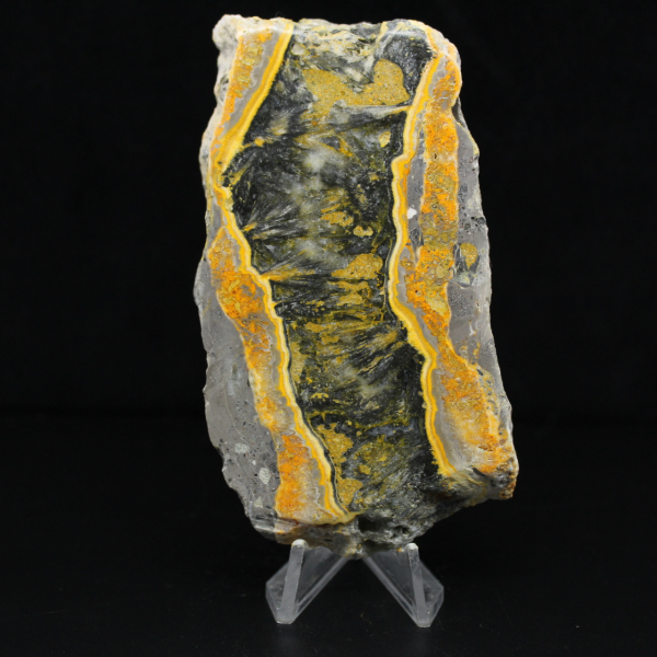 Fatia espessa de jaspe abelha polido