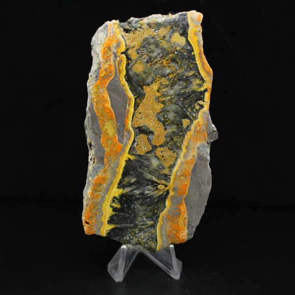 Fatia espessa de jaspe abelha polido