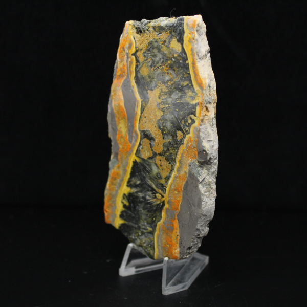 Fatia espessa de jaspe abelha polido