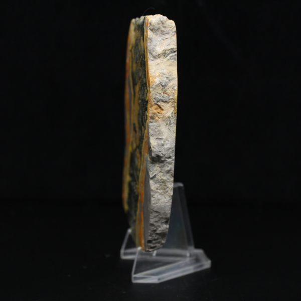 Fatia espessa de jaspe abelha polido