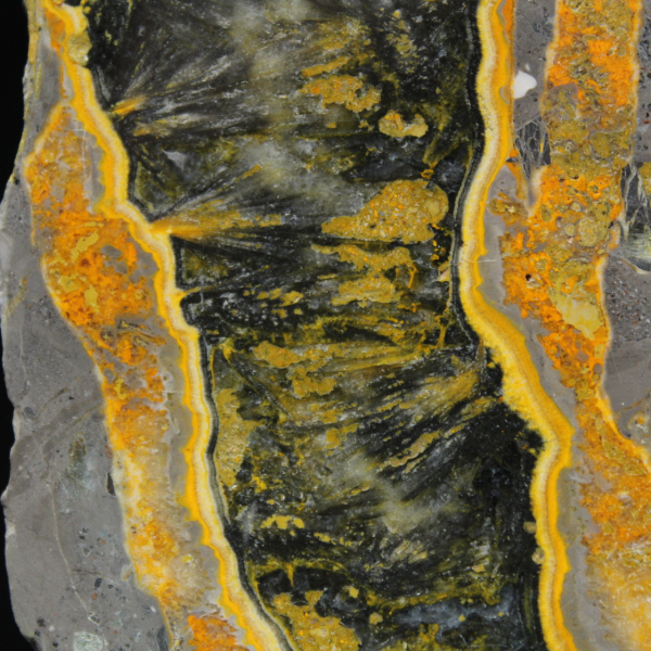 Fatia espessa de jaspe abelha polido