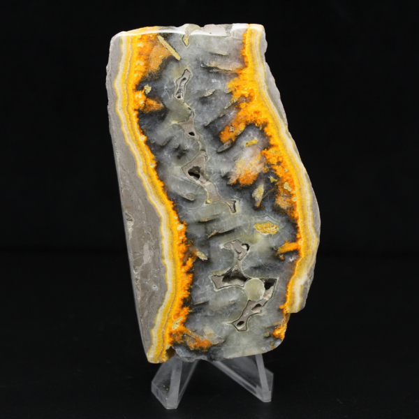 Fatia robusta de jaspe abelha indonésio