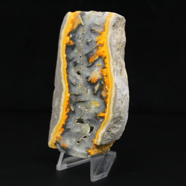 Fatia robusta de jaspe abelha indonésio