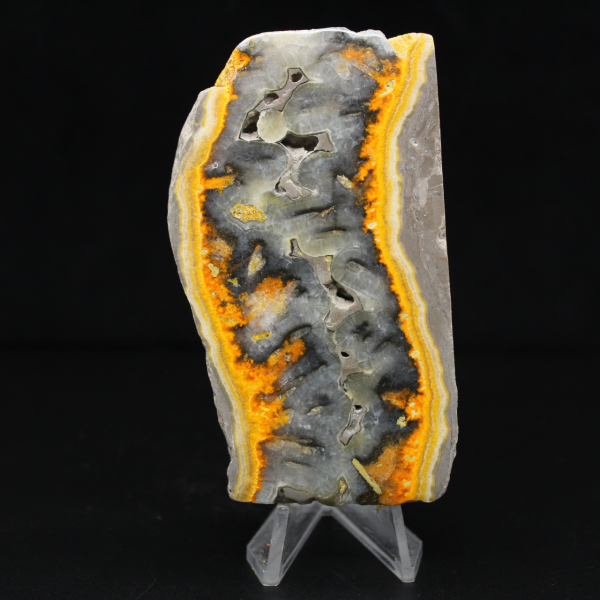 Fatia robusta de jaspe abelha indonésio