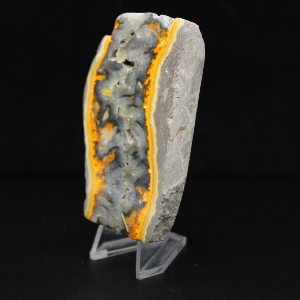 Fatia robusta de jaspe abelha indonésio