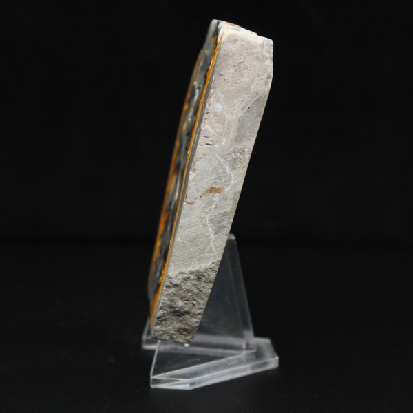 Fatia robusta de jaspe abelha indonésio