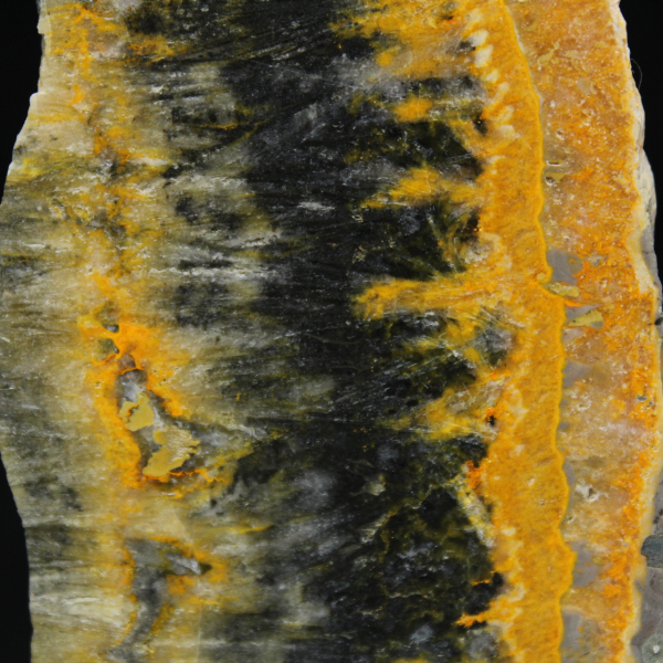 Pequena placa polida de Jaspe Abelha