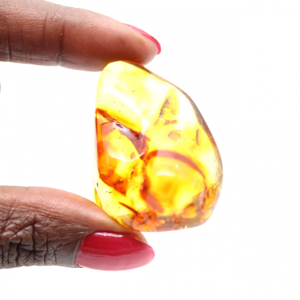 Seixo de âmbar polido da Lituânia - Autêntico item de colecionador