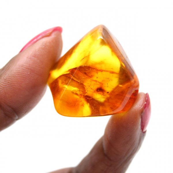 Pequeno exemplar de seixo de âmbar polido - Autêntico da Lituânia